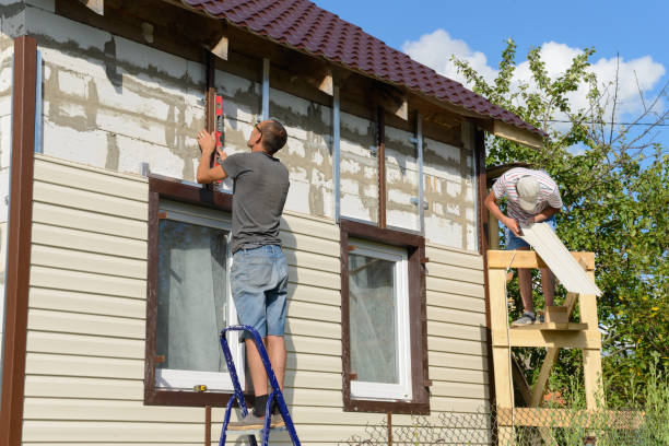 Best Stucco Siding  in Mount Jackson, VA