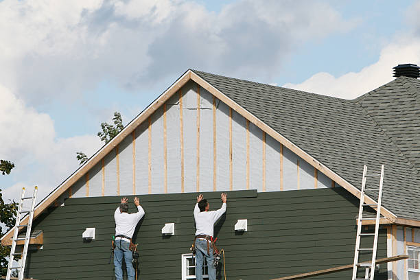 Best Siding Painting and Refinishing  in Mount Jackson, VA